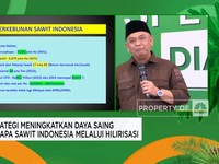Video: Harapan Petani Sawit ke Prabowo, Harga TBS Petani Stabil