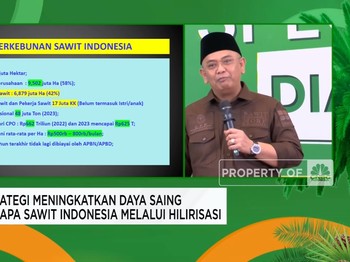 Video: Harapan Petani Sawit ke Prabowo, Harga TBS Petani Stabil