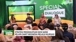 Video: Regulasi & Mandatori Biodiesel, Kunci Hilirisasi Sawit RI