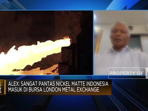 Perkuat Posisi di Bursa Nikel Dunia, Indonesia Harus Lakukan Apa?