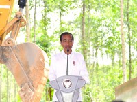 Cerita Jokowi Bawa Chef dari Jakarta untuk Siapkan Makan di IKN Kaltim