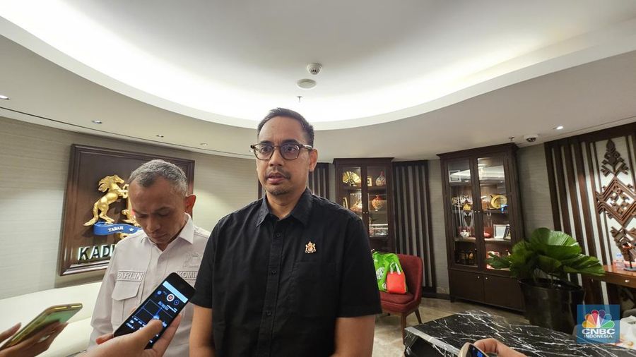 Wakil Ketua Umum Kadin Bidang Komunikasi dan Informasi, Firlie H Ganinduto saat ditemui di Menara Kadin, Jakarta, Kamis (6/6/2024). (CNBC Indonesia/Intan Rakhmayanti Dewi)