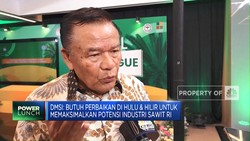Hadapi Banyak Tantangan, Hilirisasi Sawit Butuh Kolaborasi Hulu-Hilir