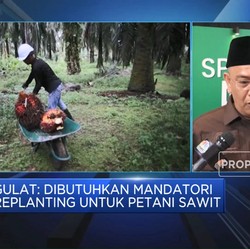 Video: Ini Dia, Tantangan Hilirisasi Sawit di Era Prabowo-Gibran