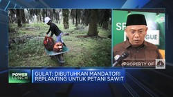 Video: Ini Dia, Tantangan Hilirisasi Sawit di Era Prabowo-Gibran