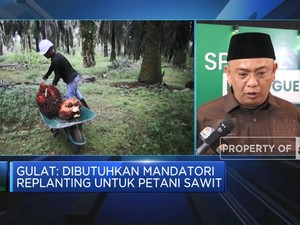 Video: Ini Dia, Tantangan Hilirisasi Sawit di Era Prabowo-Gibran