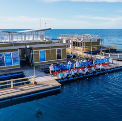 Kini Ada 203 Hiu Paus di Whale Shark Center Kolaborasi PIS-KLHK