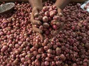 Harga Bawang Merah di Sumut Makin Anjlok, Begini Kata Disperindag