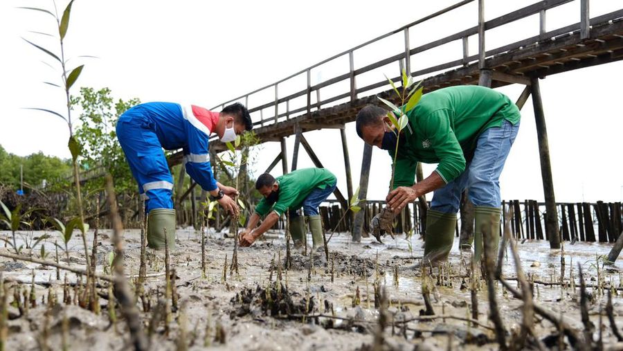 Dok Kilang Pertamina Internasional