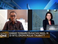 Produsen Terbesar Hingga Digugat EU, Gimana Nasib Industri Nikel RI?