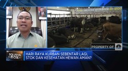 Video:Tips Cek Kesehatan Hewan Kurban Yang Bebas PMK & Sakit Lato-lato