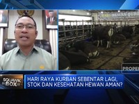 Video:Tips Cek Kesehatan Hewan Kurban Yang Bebas PMK & Sakit Lato-lato