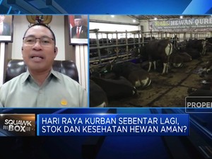 Video:Tips Cek Kesehatan Hewan Kurban Yang Bebas PMK & Sakit Lato-lato