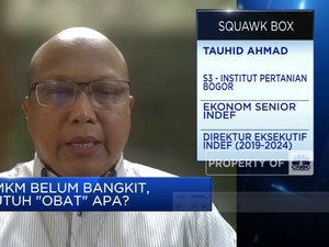Kredit Macet UMKM Masih Tinggi, Ini Sebab & Efeknya Bagi Ekonomi RI!
