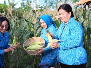 Tri Tito Karnavian Puji Kreativitas Program PKK Klungkung