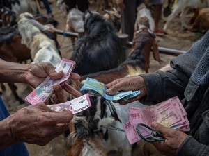 Apa Hukumnya Berkurban bagi yang Mampu? Ini Penjelasannya