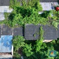 Bak 'Rumah Hantu', Potret Program Rumah Subsidi Kosong Tak Terurus