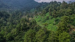 Hilang di Gunung Puntang, Mahasiswa ITB Akhirnya Ditemukan