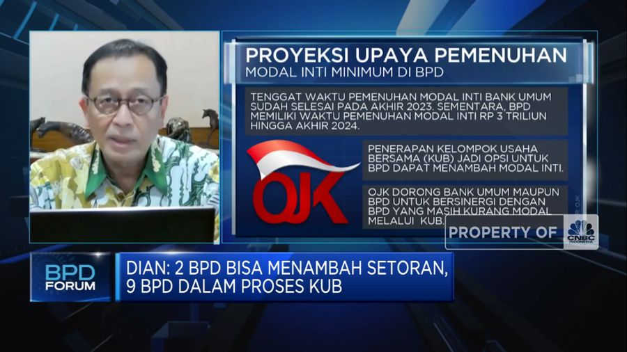 Cara OJK Bikin BPD Tak Tergantung Segmen Kredit Pegawai Pemda a(CNBC Indonesia TV)