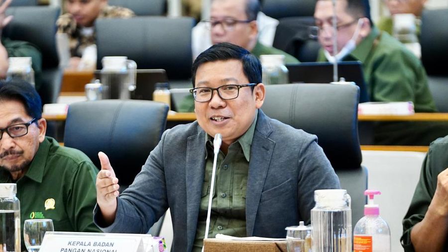 Kepala Bapanas Arief Prasetyo Adi saat RDP dengan Komisi IV DPR, Senin (10/6/2024). (Dok: Bapanas)