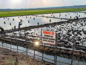 Bocah 5 Tahun di Lamongan Tewas Kena Jebakan Tikus Tetangga