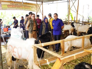 Sidak Hewan Kurban, Pemkot Kota Batu Beri Label ke Ternak Sehat