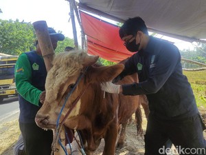 Doa untuk Shohibul Qurban serta Tata Cara Penyembelihan Sesuai Syariat Islam
