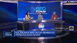 Tugas BPD Jadi Agen Pembangunan Daerah, Perkuat UMKM & Lawan Rentenir