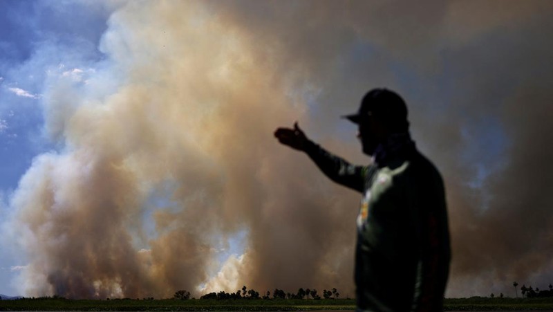 Pemandangan drone menunjukkan asap mengepul dari kebakaran di Pantanal, lahan basah terbesar di dunia, di Corumba, negara bagian Mato Grosso do Sul, Brasil, 10 Juni 2024. (REUTERS/Ueslei Marcelino)