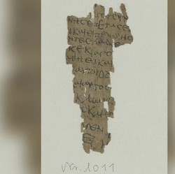 Jejak Mukjizat Masa Kecil Yesus Ditemukan di Mesir