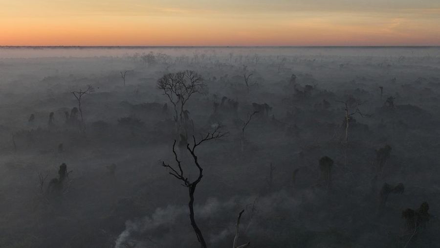 Pemandangan drone menunjukkan asap mengepul dari kebakaran di Pantanal, lahan basah terbesar di dunia, di Corumba, negara bagian Mato Grosso do Sul, Brasil, 10 Juni 2024. (REUTERS/Ueslei Marcelino)