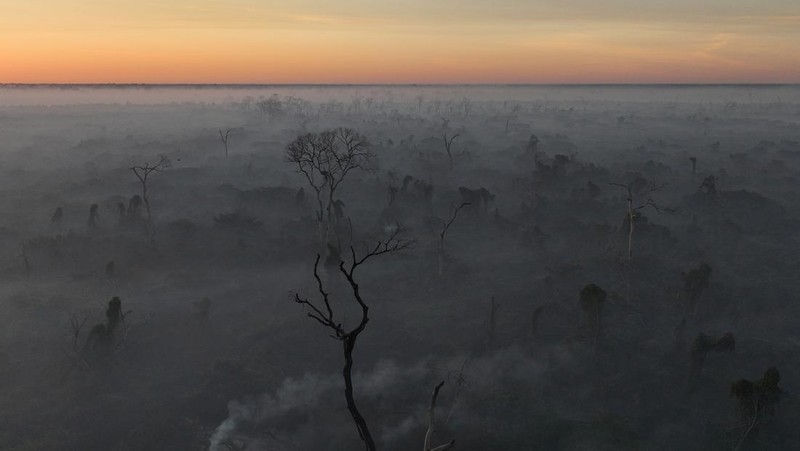 Pemandangan drone menunjukkan asap mengepul dari kebakaran di Pantanal, lahan basah terbesar di dunia, di Corumba, negara bagian Mato Grosso do Sul, Brasil, 10 Juni 2024. (REUTERS/Ueslei Marcelino)
