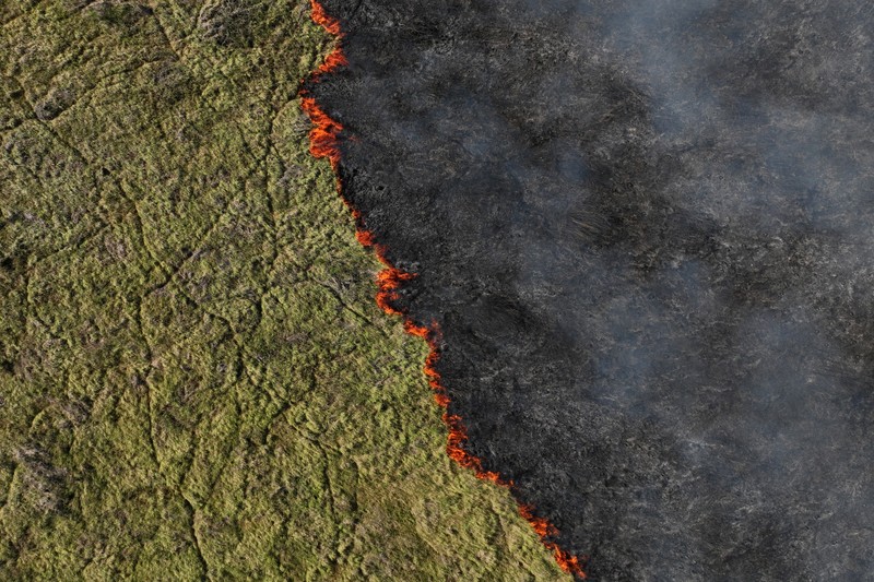 Pemandangan drone menunjukkan asap mengepul dari kebakaran di Pantanal, lahan basah terbesar di dunia, di Corumba, negara bagian Mato Grosso do Sul, Brasil, 10 Juni 2024. (REUTERS/Ueslei Marcelino)