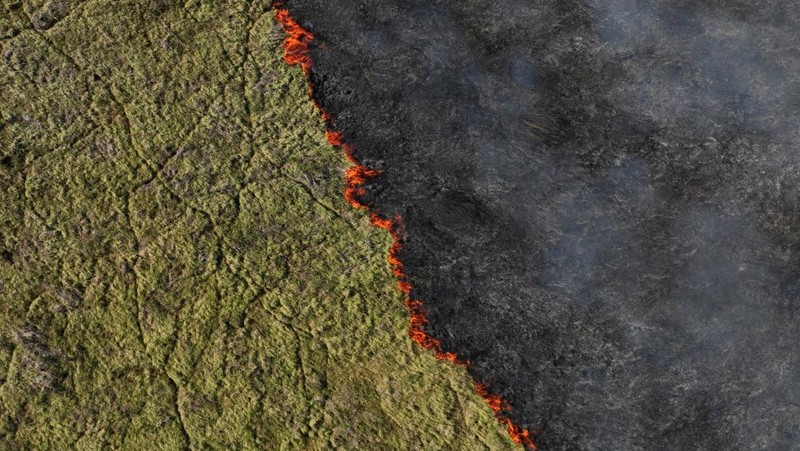Pemandangan drone menunjukkan asap mengepul dari kebakaran di Pantanal, lahan basah terbesar di dunia, di Corumba, negara bagian Mato Grosso do Sul, Brasil, 10 Juni 2024. (REUTERS/Ueslei Marcelino)