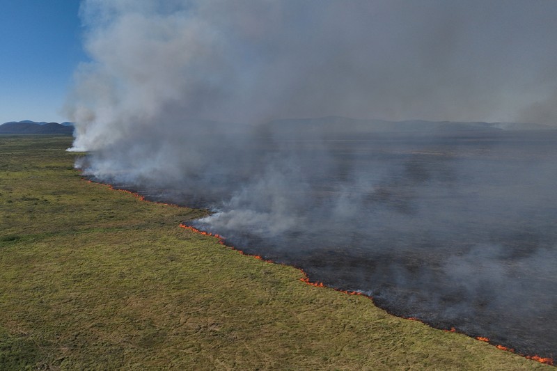 Pemandangan drone menunjukkan asap mengepul dari kebakaran di Pantanal, lahan basah terbesar di dunia, di Corumba, negara bagian Mato Grosso do Sul, Brasil, 10 Juni 2024. (REUTERS/Ueslei Marcelino)