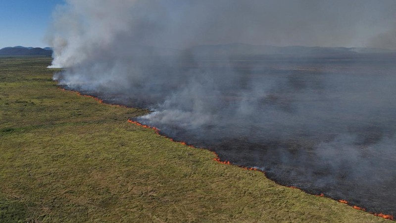 Pemandangan drone menunjukkan asap mengepul dari kebakaran di Pantanal, lahan basah terbesar di dunia, di Corumba, negara bagian Mato Grosso do Sul, Brasil, 10 Juni 2024. (REUTERS/Ueslei Marcelino)