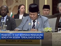 Video: Prabowo Pastikan RI Siap Bantu Gencatan Senjata di Gaza