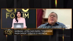 Video: Transisi Energi RI Berjalan Lambat, Apa Kendala & Solusinya?