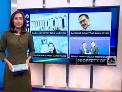 ASN Pindah Ke IKN Cepat Naik Jabatan Hingga Luhut Dapat Gelar Profesor