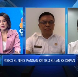 Bahu-mebahu Bapanas Hingga BRIN Hadapi Efek El Nino & Jaga Stok Pangan