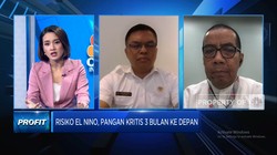 Bahu-mebahu Bapanas Hingga BRIN Hadapi Efek El Nino & Jaga Stok Pangan