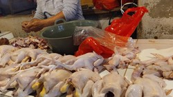 Harga Daging Ayam di Tasikmalaya Tembus Rp 50 Ribu/Kg