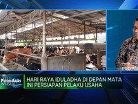 Video: Iduladha, Dharma Jaya Jamin Ketersediaan Sapi, RPH & Juleha
