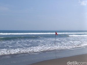 Bertambah Lagi Lumba-lumba yang Mati Terdampar di Pantai Pangandaran