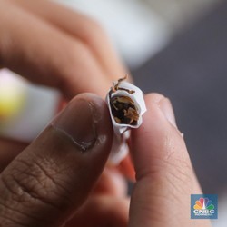 Warga RI Ramai-Ramai Pindah ke Rokok Murah, Bea Cukai Lakukan Ini