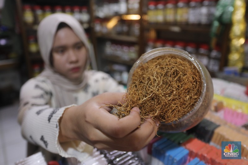 Penjual tembakau linting di toko Kedai Tembakau, Jakarta, Kamis (13/6/2024). Usaha tembakau linting yang dirintis sejak 2021 tersebut menjadi alternatif pilihan bagi perokok di kenaikan harga rokok konvensional. (CNBC Indonesia/Faisal Rahman) Penjual tembakau linting di toko Kedai Tembakau, Jakarta, Kamis (13/6/2024). Usaha tembakau linting yang dirintis sejak 2021 tersebut menjadi alternatif pilihan bagi perokok di kenaikan harga rokok konvensional. (CNBC Indonesia/Faisal Rahman)