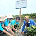 Menyelamatkan Bumi dan Mencegah 