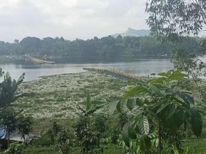 Viral Jembatan Alfian di Sungai Citarum KBB Terputus, Begini Faktanya