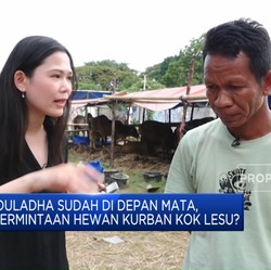 Video: Iduladha Sudah di Depan Mata, Permintaan Hewan Kurban Kok Lesu?