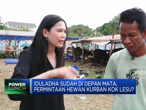Video: Iduladha Sudah di Depan Mata, Permintaan Hewan Kurban Kok Lesu?